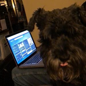 Meet your Posher, Robin